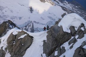 chardonnet VN 21