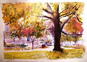 Suite-carnet-17-Le-ginkgo-de-la-mairie.jpg