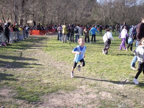 DSCF8364a.jpg