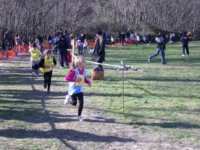 DSCF8371.JPG
