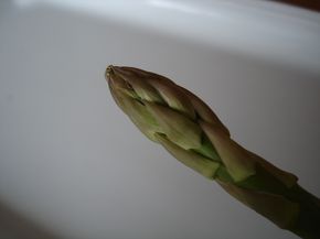 DSC08796.JPG