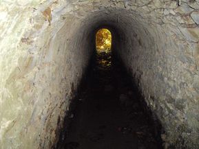 IMGP1607