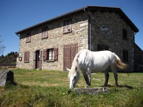 IMGP0980