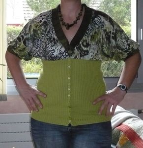 2011-01-27-recupull1
