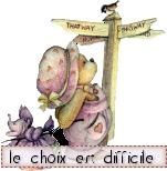 choixdifficile1.JPG
