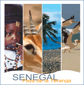 rubrique_Senegal-78e51.gif