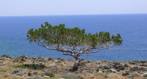 2011-05-21 crete 11