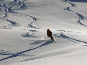 ski de randonnée 10