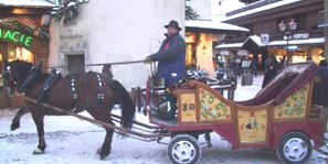 cheval- Megève.photo F. DUVILLARD (4)