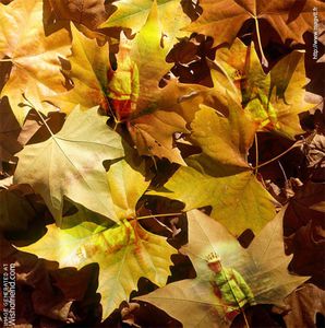 1351531106autumnleaves-003