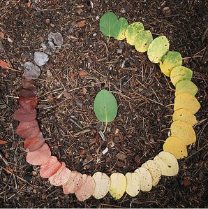 landart5.jpg