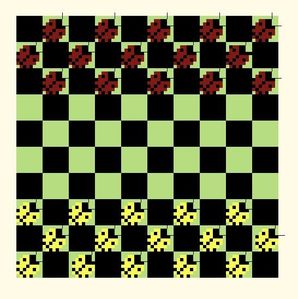 jeu-de-dames-cocci.JPG