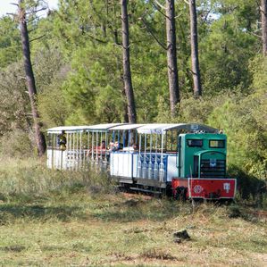 petit-train-007.JPG