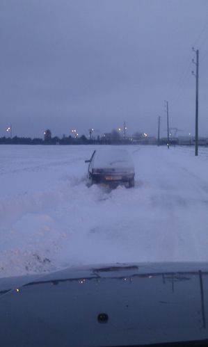 IMAG0310.jpg