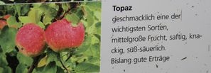 ObstbaumNaturfreunde 01aTopaz