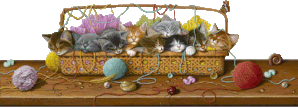 chatons-pelotes