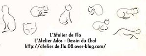 Oeil-de-chat-Atelier de Flo-Dessin-Peinture-Chat11