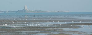 morsalines-010.jpg