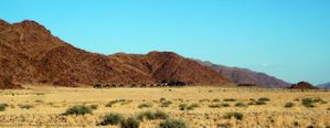lodge sossusvlei