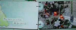 Mini-sapins-noel-2k8_005.JPG