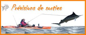 previsions-sorties.jpg