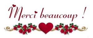 valentin mercibeaucoup