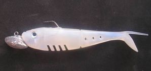 Buster-shad-Delalande.JPG