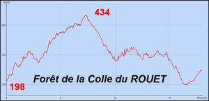 Foret-de-la-Colle-de-ROUET.JPG
