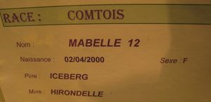 Balades-4-3551.JPG