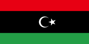 Révolution libyenne du 17 février