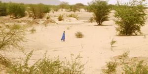 desert-du-sahara-afrique-sub-saharienne.jpg
