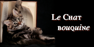 chat-bouquine-mini-ban.png
