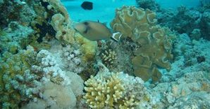 DSC04758a