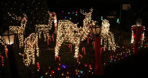 WeihnachtshausErdle 05 Rentiere 1 a