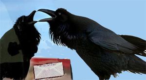 corbeau.jpg