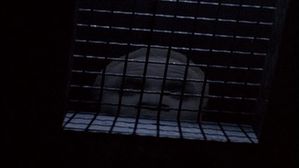 vlcsnap-2014-08-03-01h02m21s45.jpg