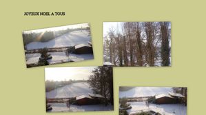 flers12 2010-copie-1