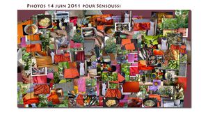 Juin2011-14.jpg