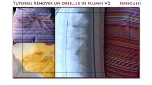 tutorielrenoveroreillerpluV