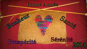 Voeux-2014.jpg