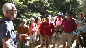 2010-09-09 Forêt de Turini (18)