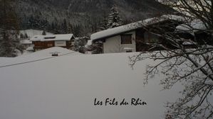 DSC00131