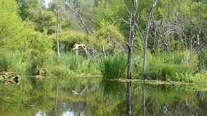 015-copie-1.JPG