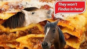 findus 1
