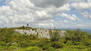 DSC01478