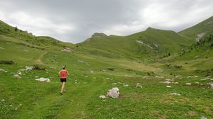 DSC07619