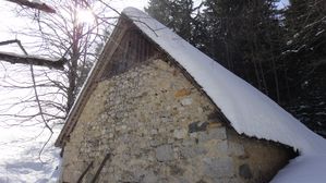 DSC05718