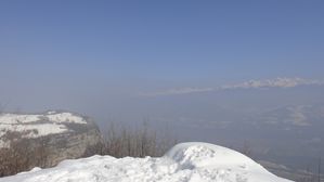 DSC05726