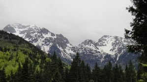 DSC06554