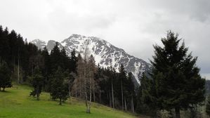DSC06555